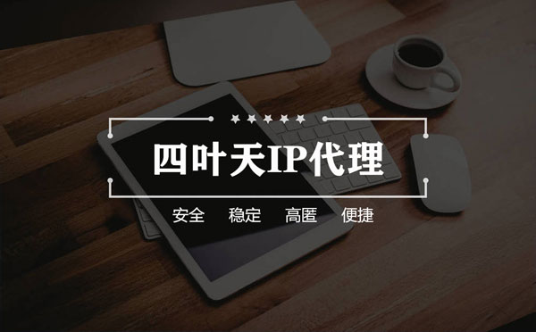 【青州代理IP】如何快速搭建代理IP？怎么检查代理的效果？